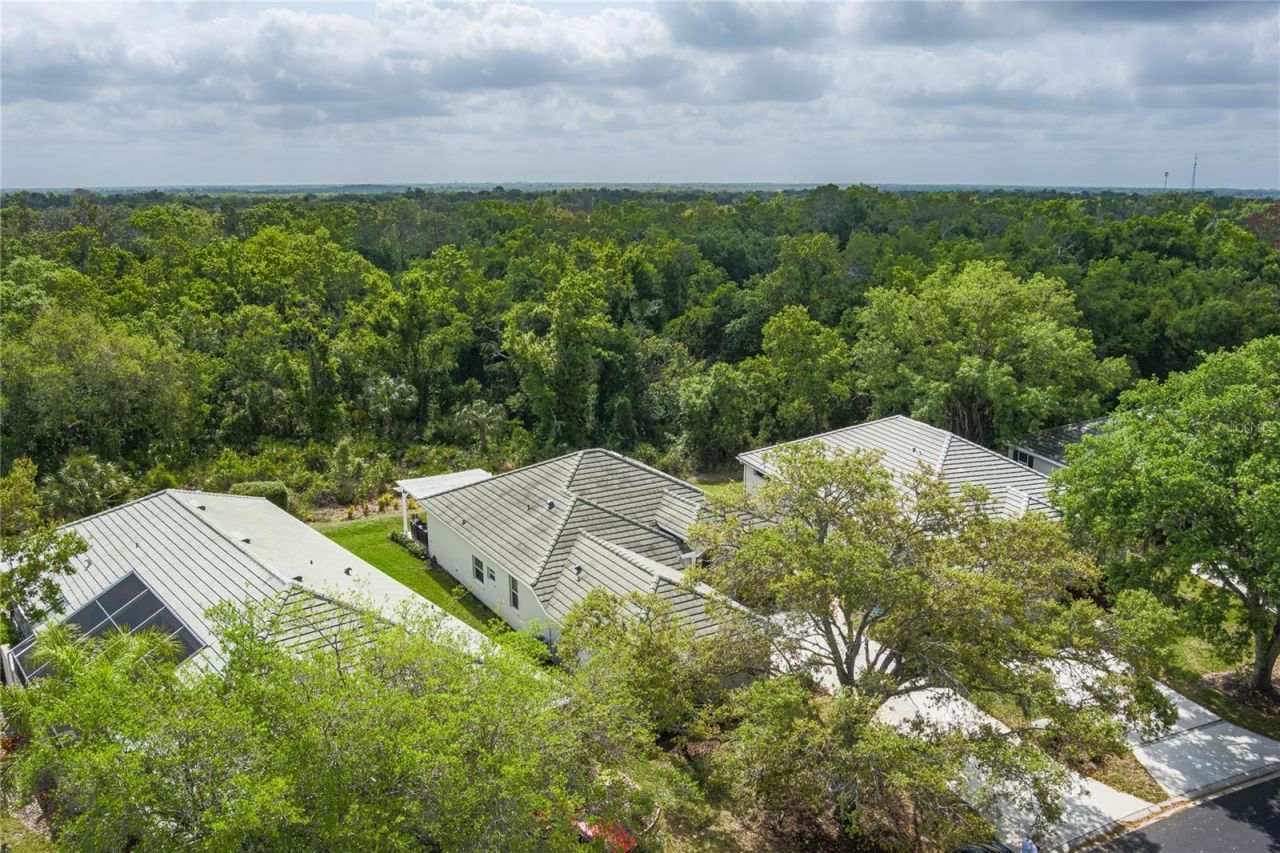 3208 Woodland Fern Drive, Parrish, FL 34219 Photo