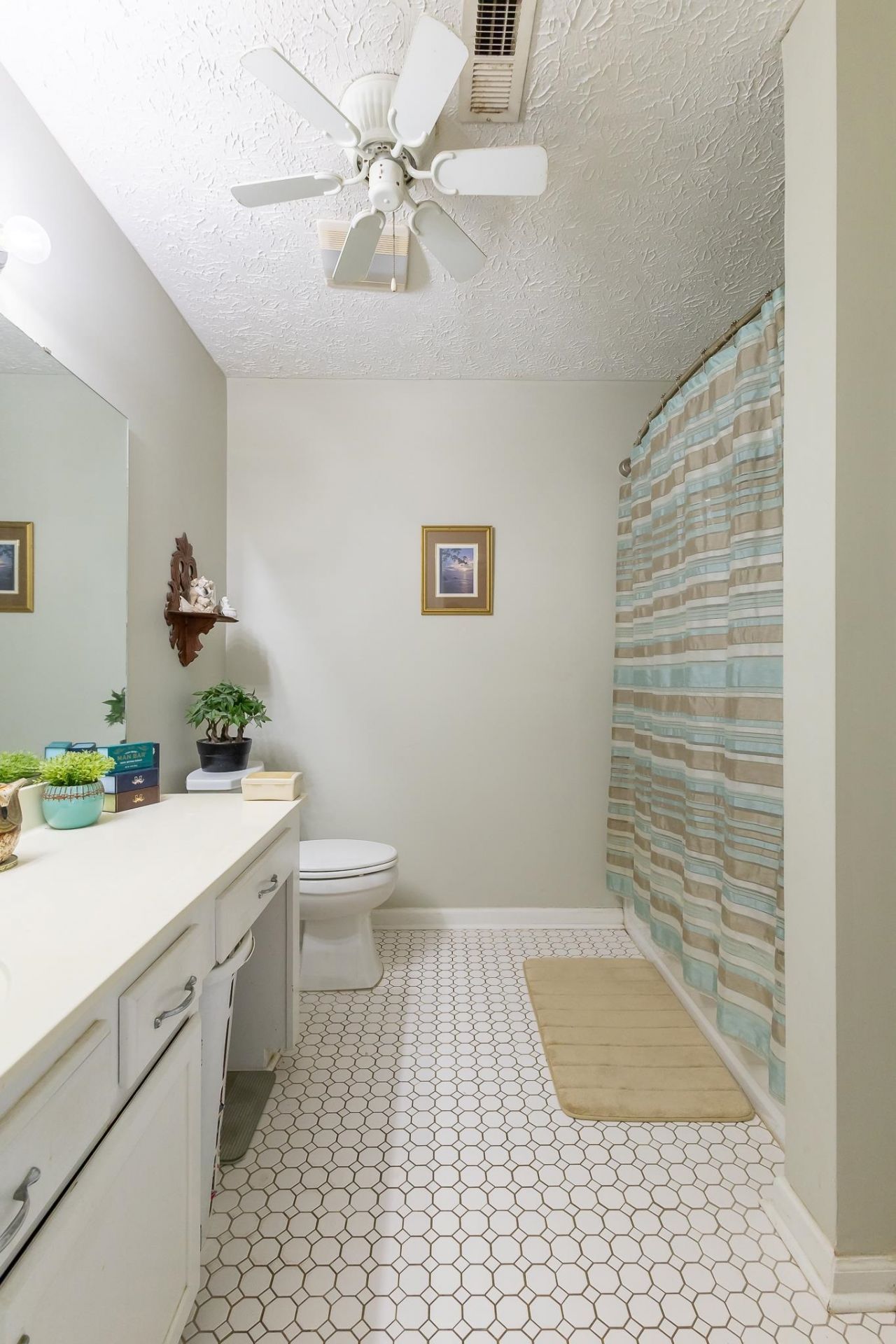 590 Bridgeport Dr.  Photo 6