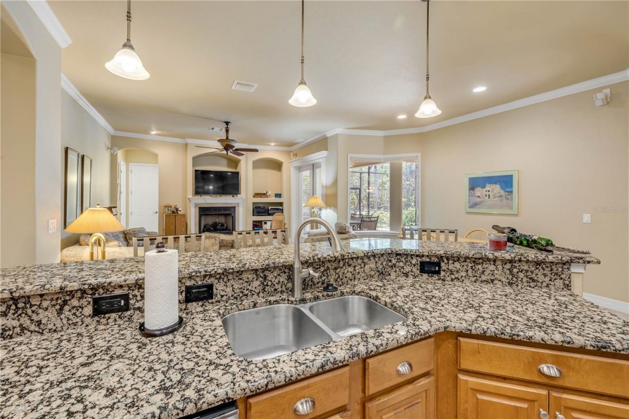 315 Eagles Eye Court, New Smyrna Beach, FL 32168 Photo