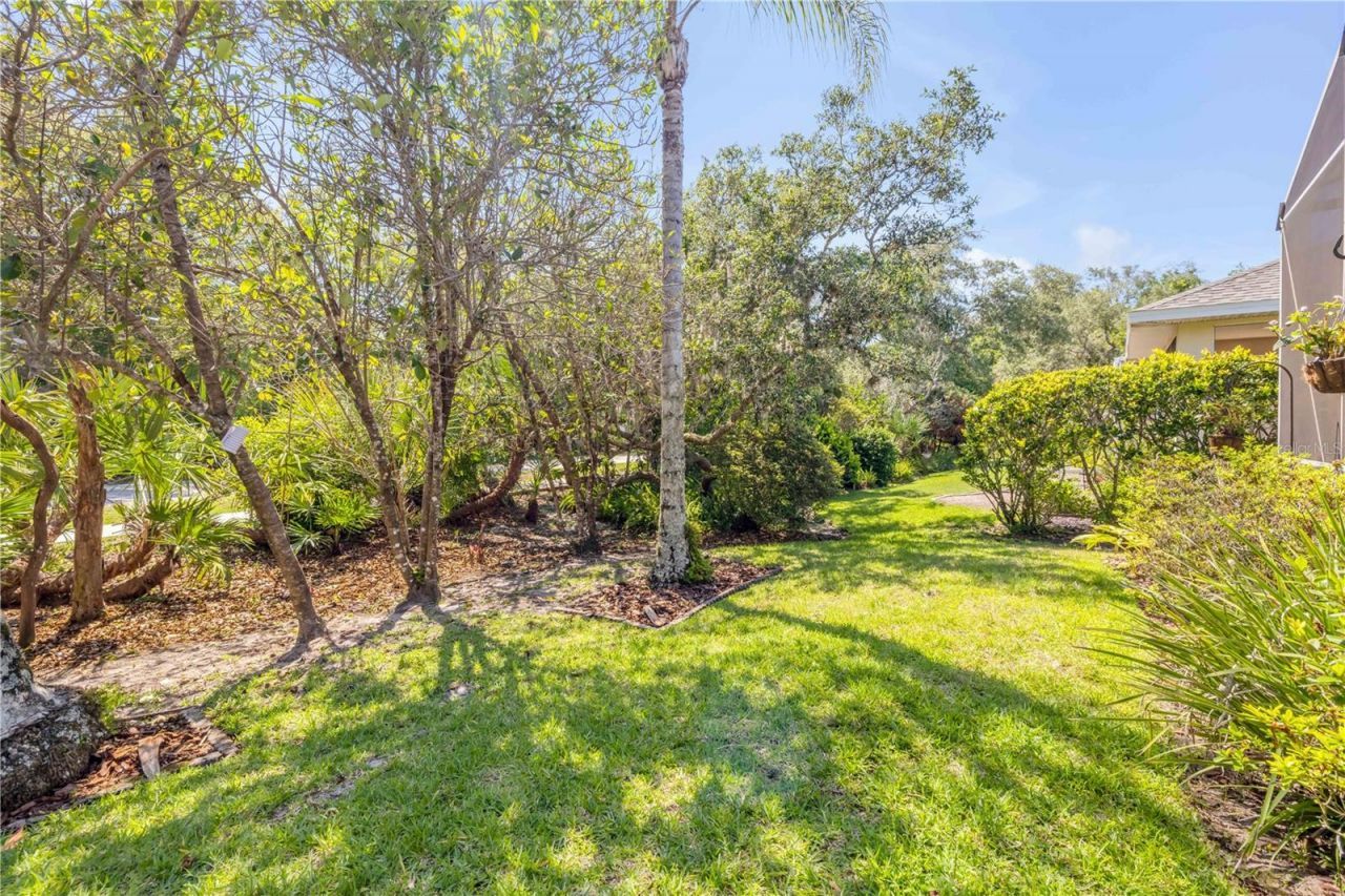 315 Eagles Eye Court, New Smyrna Beach, FL 32168 Photo