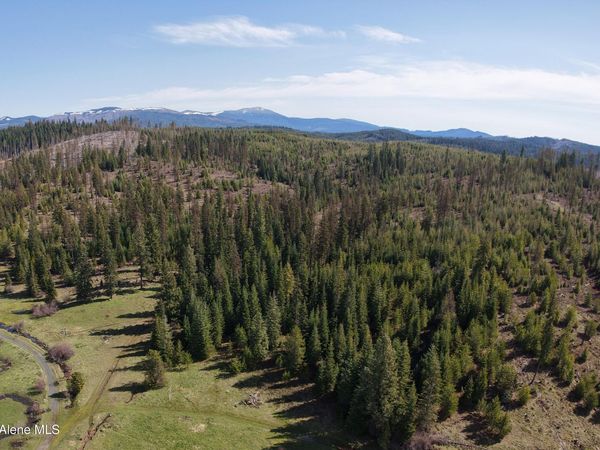 NKA Park Road 100 acres, Elk River, ID 83827