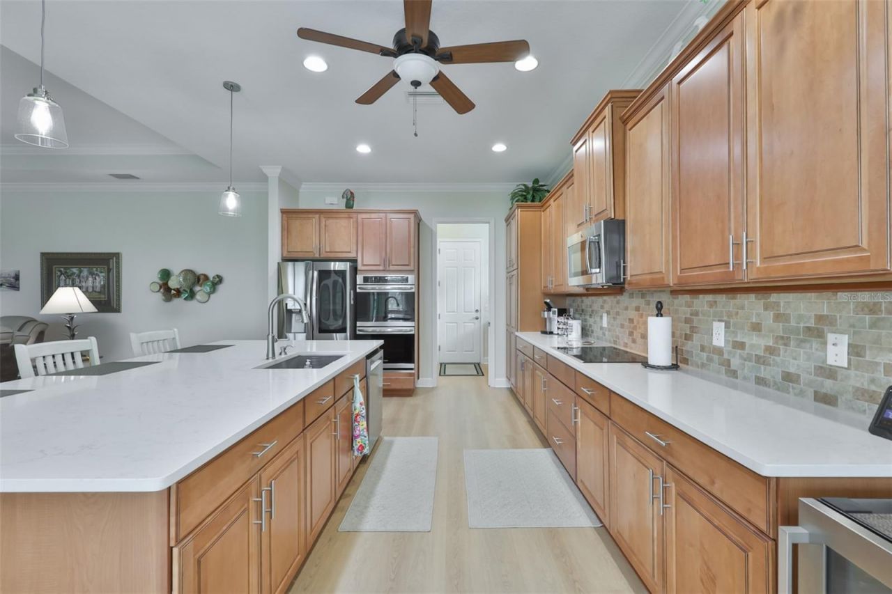 1719 Pacific Dunes Dr, Sun City Center, FL 33573 Photo
