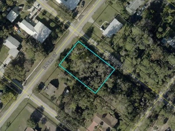 E PALM STREET , BUNNELL, FL 32110