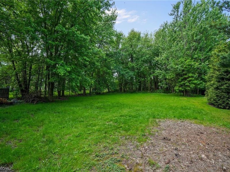4160 Columbia Road, North Olmsted, OH 44070 Photo 12