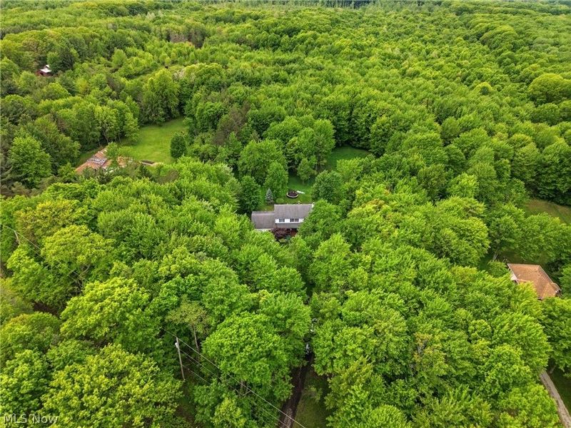 5738 Dewey Road, Madison, OH 44057 Photo 41