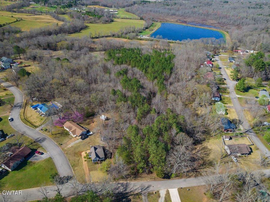 Property Image 9