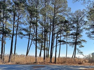 Lot 718 CASTAWAY DRIVE , GREENBACKVILLE, VA 23356