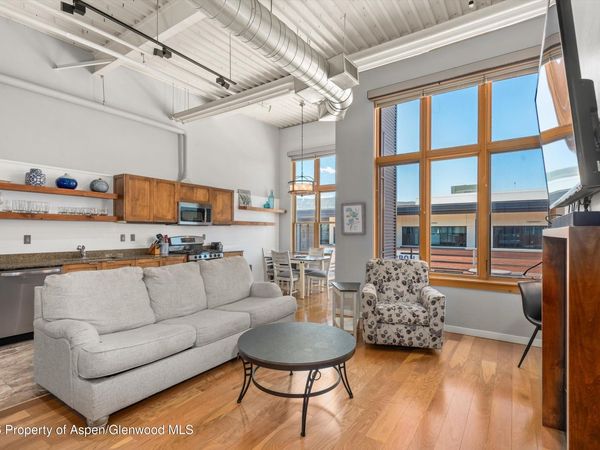 231 Robinson Street, Unit 310, Basalt, CO 81621