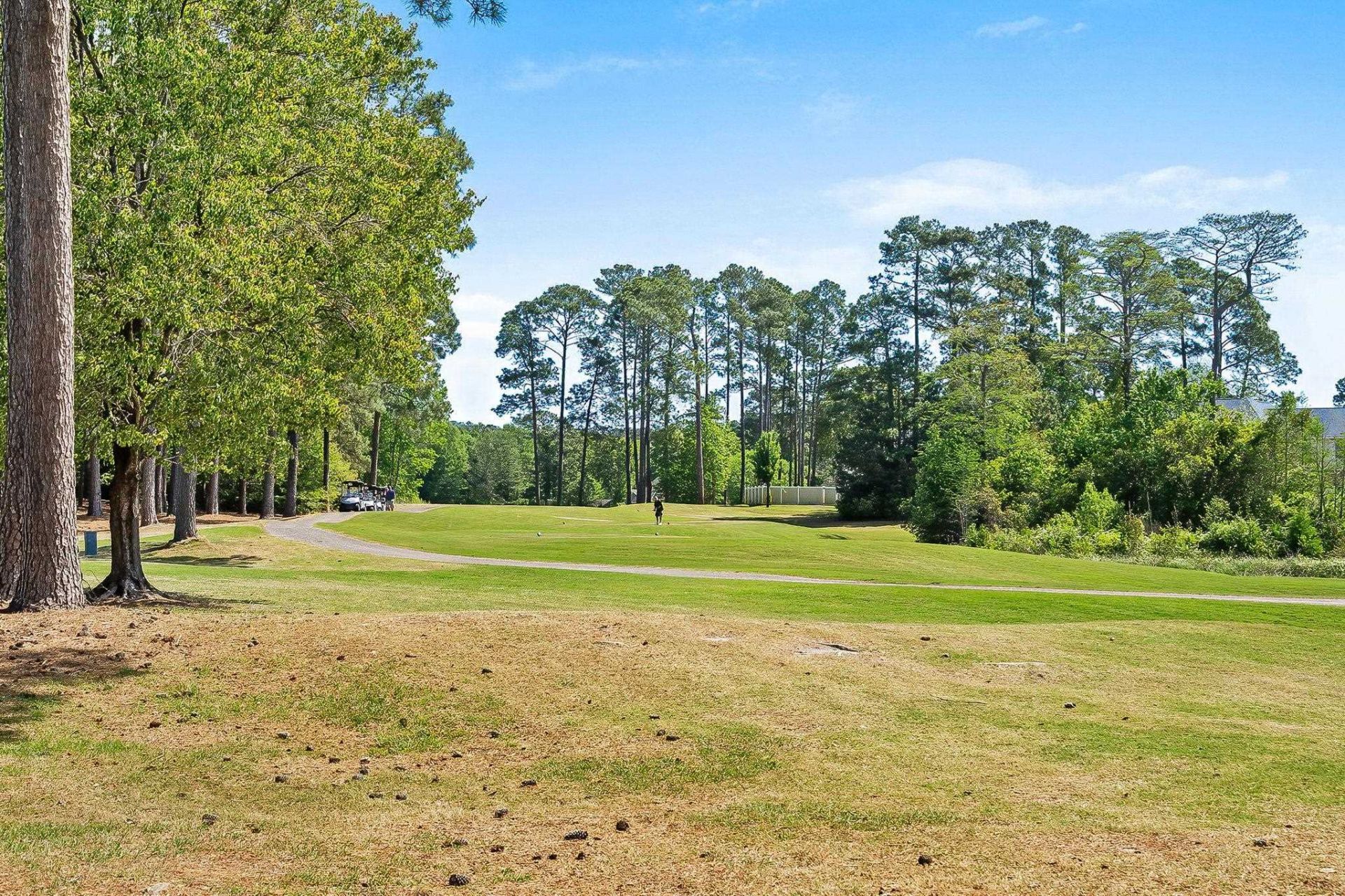 3258 Hermitage Dr.  Photo 41