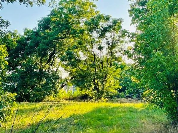 628 S Johnson Street, Mineola, TX 75773