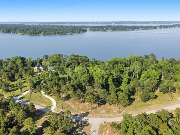 3132 Shadow Pine Drive, Larue, TX 75770