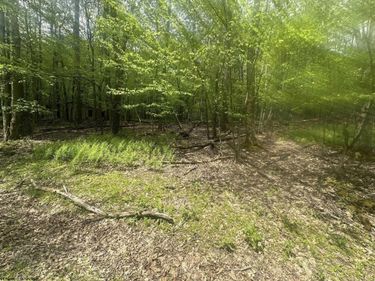 Lot 197 Woodbine Drive, Terra Alta, WV 26764