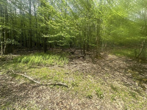 Lot 197 Woodbine Drive, Terra Alta, WV 26764