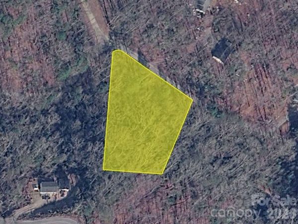 0 Bishop Lane , Mill Spring, NC 28756