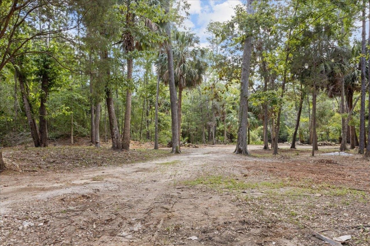 1334 Jr. Howell Road , Steinhatchee, FL 32359 Photo
