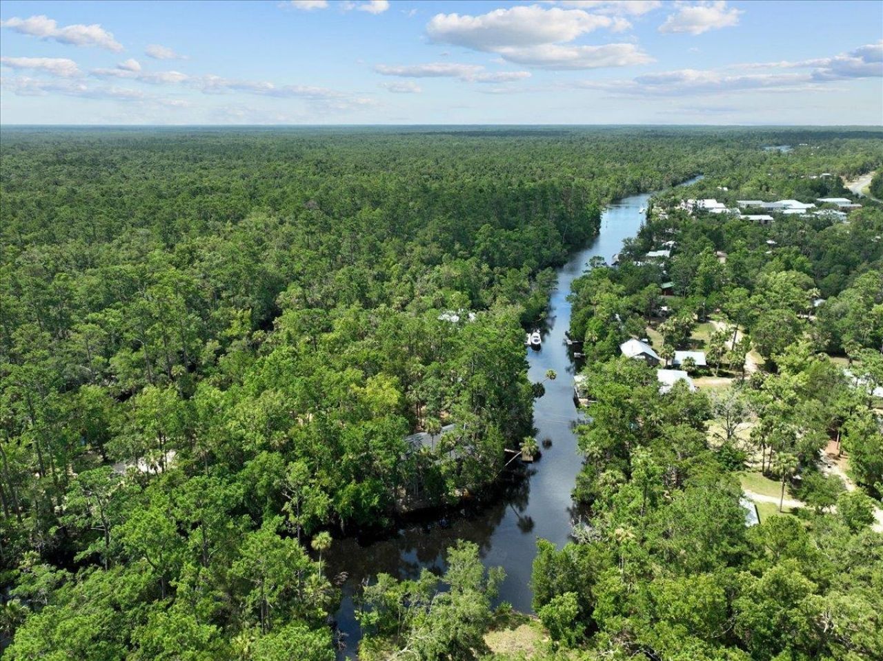 1334 Jr. Howell Road , Steinhatchee, FL 32359 Photo