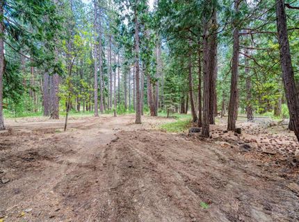 58374 Gill Ranch Road, Cromberg, CA 00000 Photo