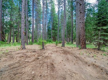 58374 Gill Ranch Road, Cromberg, CA 00000 Photo