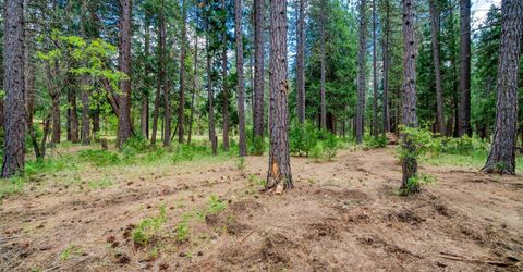 58374 Gill Ranch Road, Cromberg, CA 00000 Photo