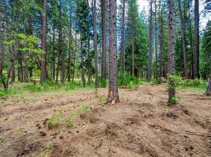 58374 Gill Ranch Road, Cromberg, CA 00000 Photo