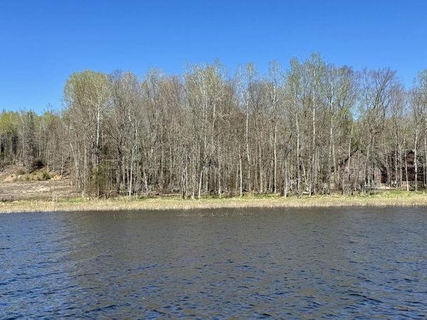 TBD E Fox Lair Trail, Cedarville, MI 49719