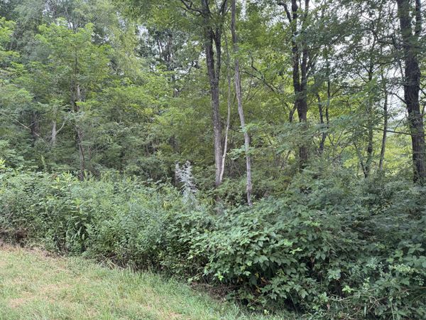 131 Sunset Mountain Village, Slatyfork, WV 26291