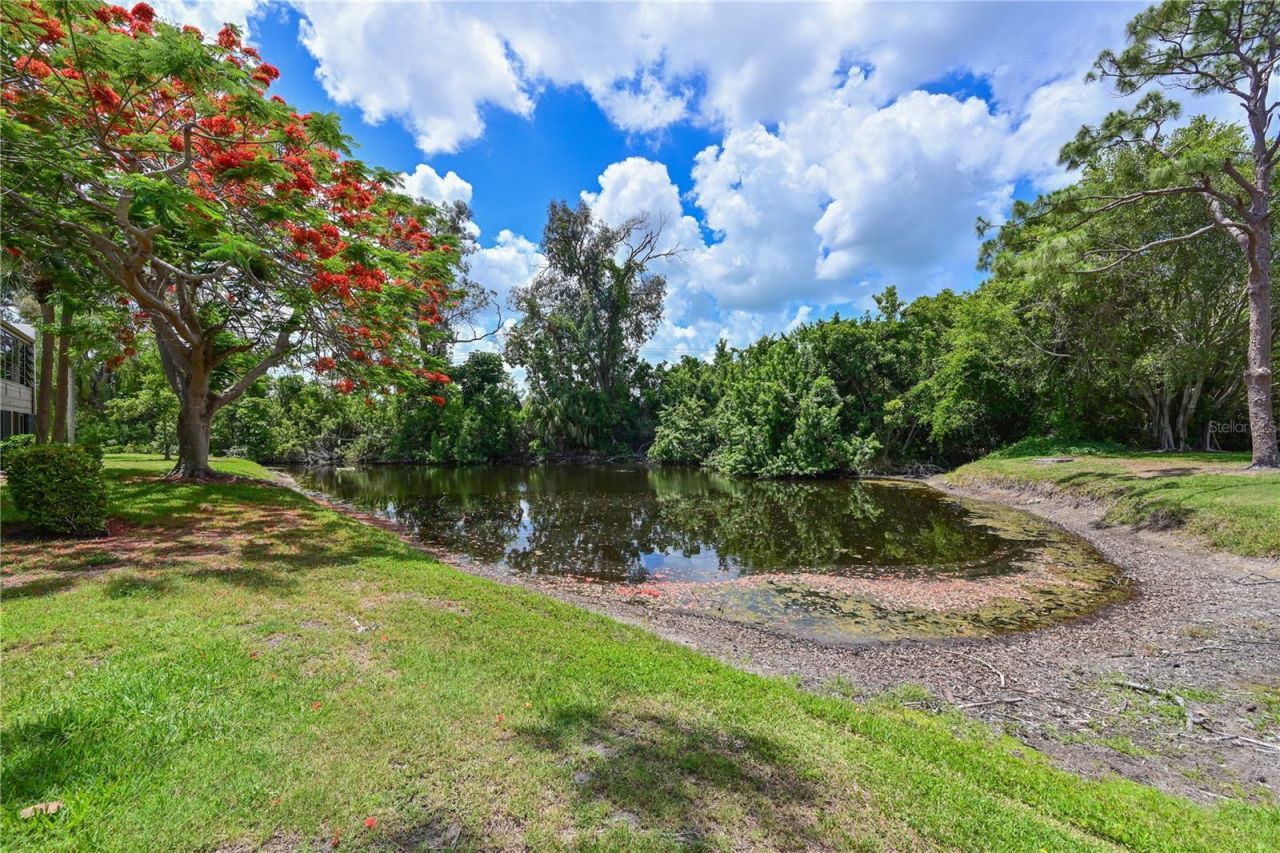 609 Woodlawn Drive, Bradenton, FL 34210 Photo