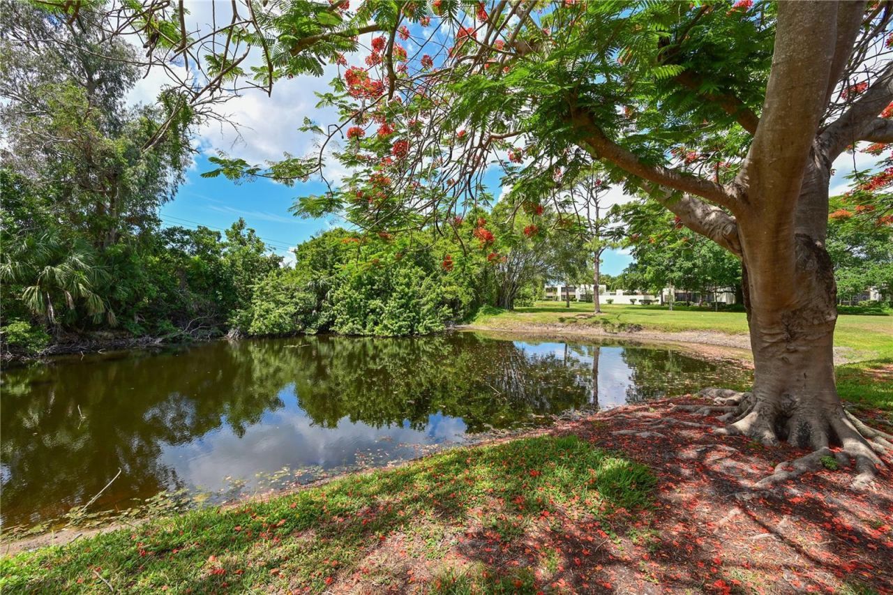 609 Woodlawn Drive, Bradenton, FL 34210 Photo
