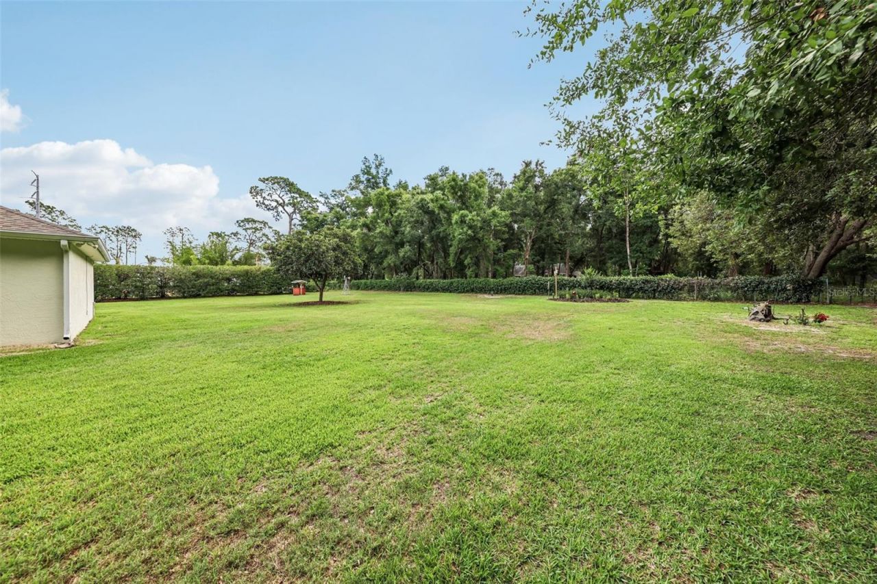 19200 Lake Swatara Drive , Eustis, FL 32736 Photo