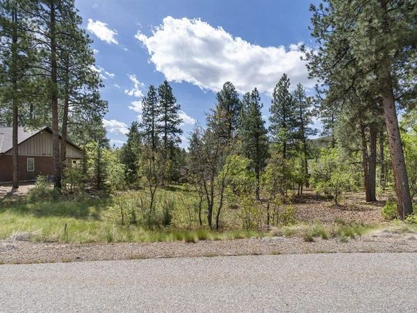 47 Needle Creek Court, Durango, CO 81301