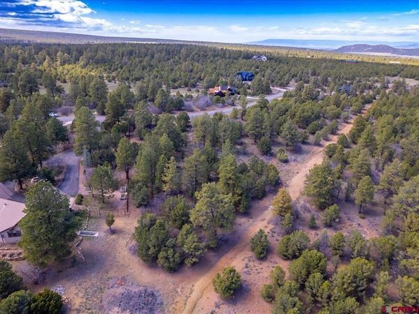 TBD Lot 556 Badger Trail N., Ridgway, CO 81432