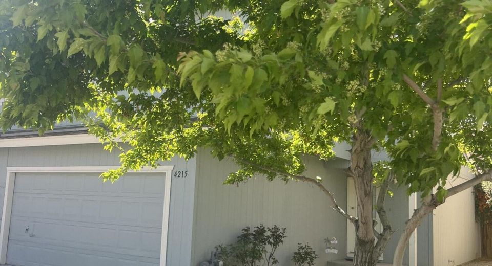 4215 Furgerson Ranch Road, Carson City, NV 89701 Photo