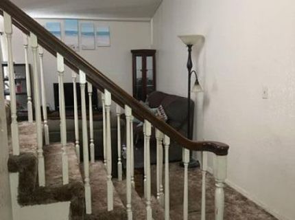 4215 Furgerson Ranch Road, Carson City, NV 89701 Photo