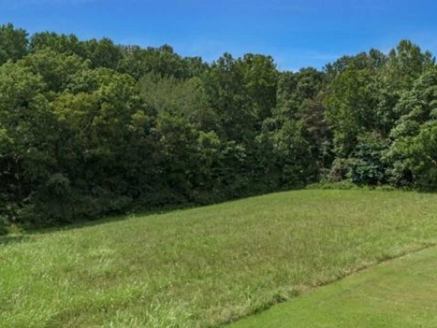 Property Image 68