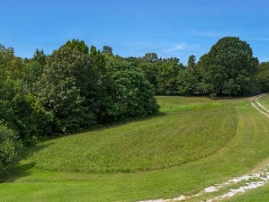 Property Image 70