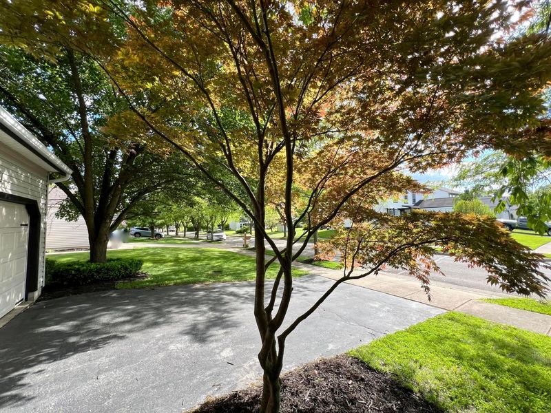 160 Kettering Bend, Delaware, OH 43015 Photo 48