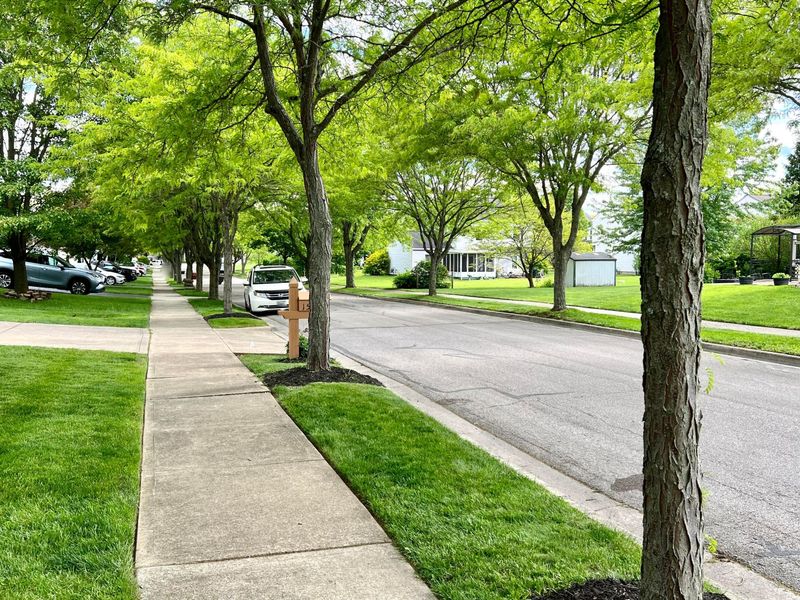 160 Kettering Bend, Delaware, OH 43015 Photo 49