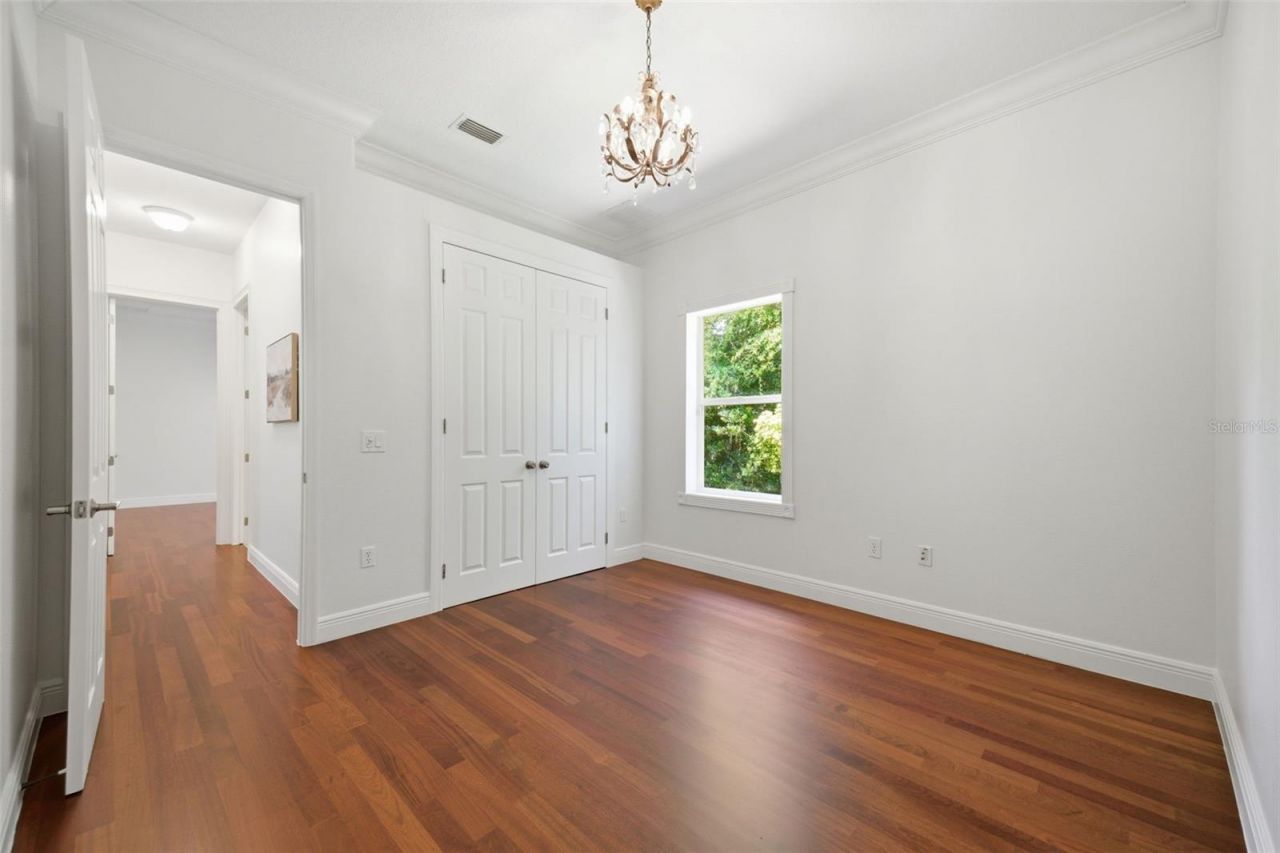 9409 Tree Tops Lake Road, Tampa, FL 33626 Photo