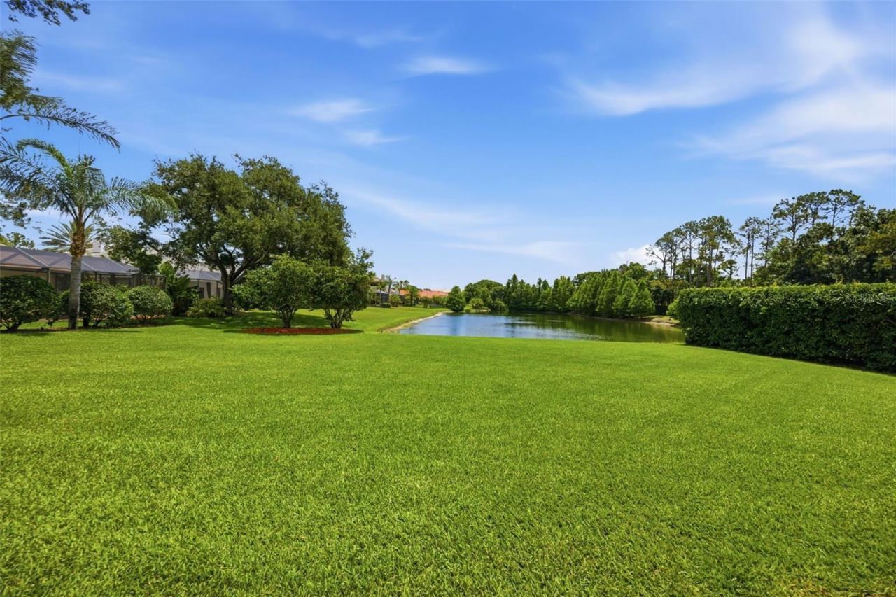9409 Tree Tops Lake Road, Tampa, FL 33626 Photo