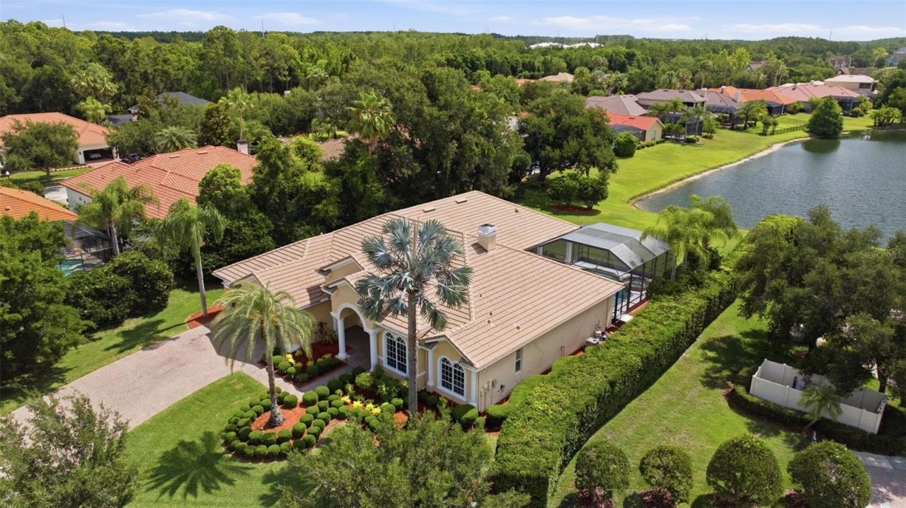 9409 Tree Tops Lake Road, Tampa, FL 33626 Photo