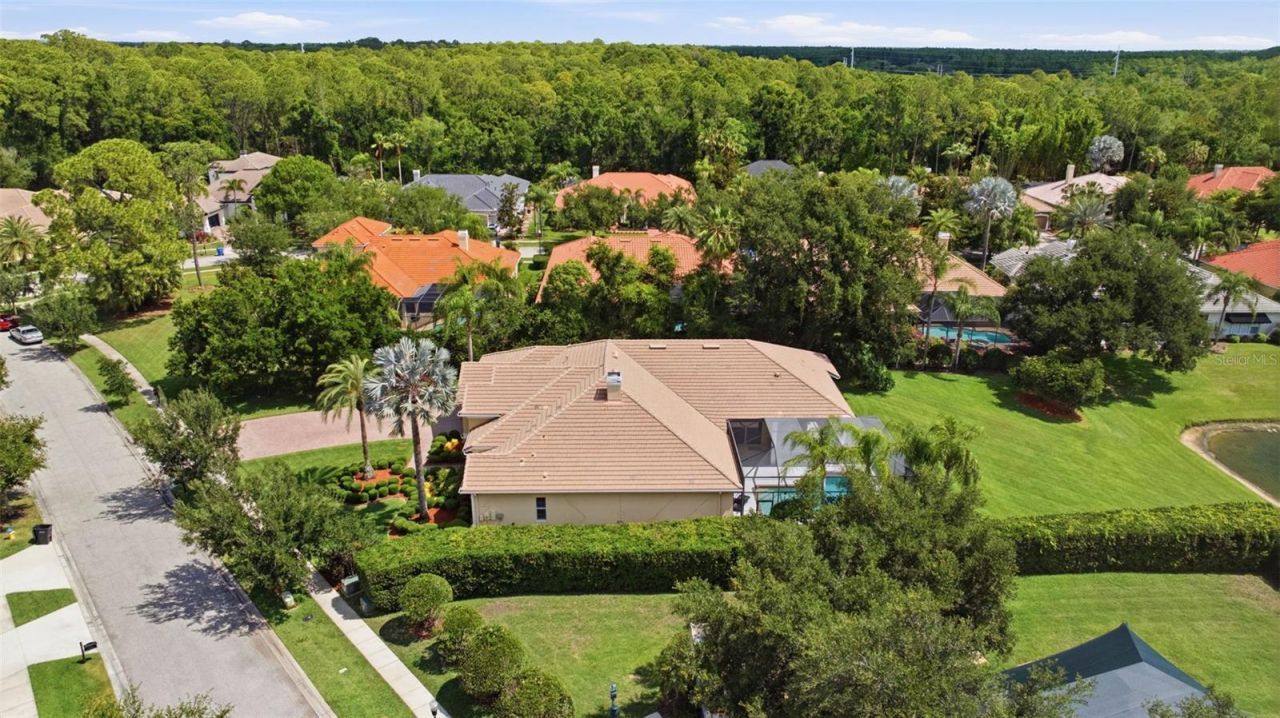 9409 Tree Tops Lake Road, Tampa, FL 33626 Photo