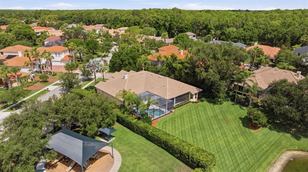 9409 Tree Tops Lake Road, Tampa, FL 33626 Photo