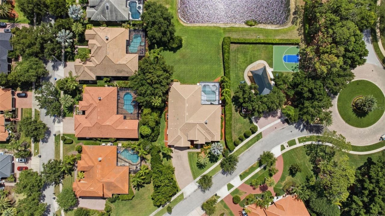 9409 Tree Tops Lake Road, Tampa, FL 33626 Photo