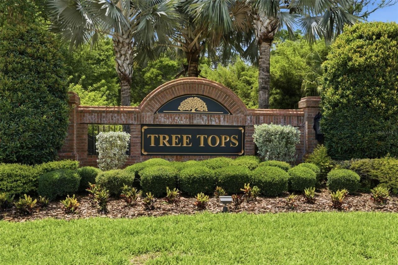 9409 Tree Tops Lake Road, Tampa, FL 33626 Photo