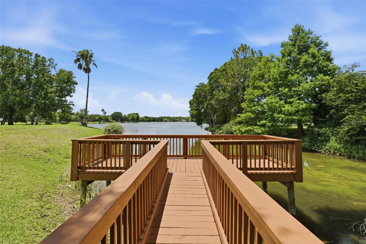 9409 Tree Tops Lake Road, Tampa, FL 33626 Photo