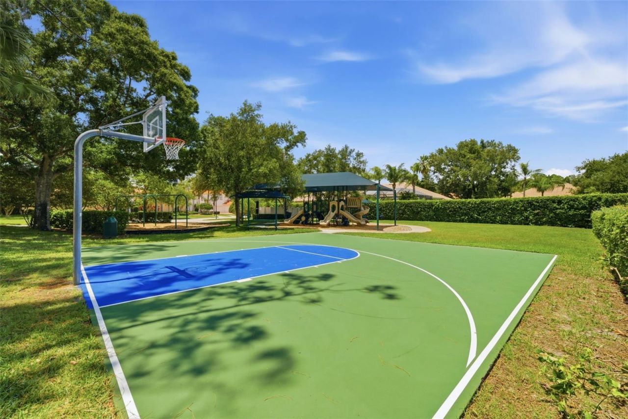 9409 Tree Tops Lake Road, Tampa, FL 33626 Photo