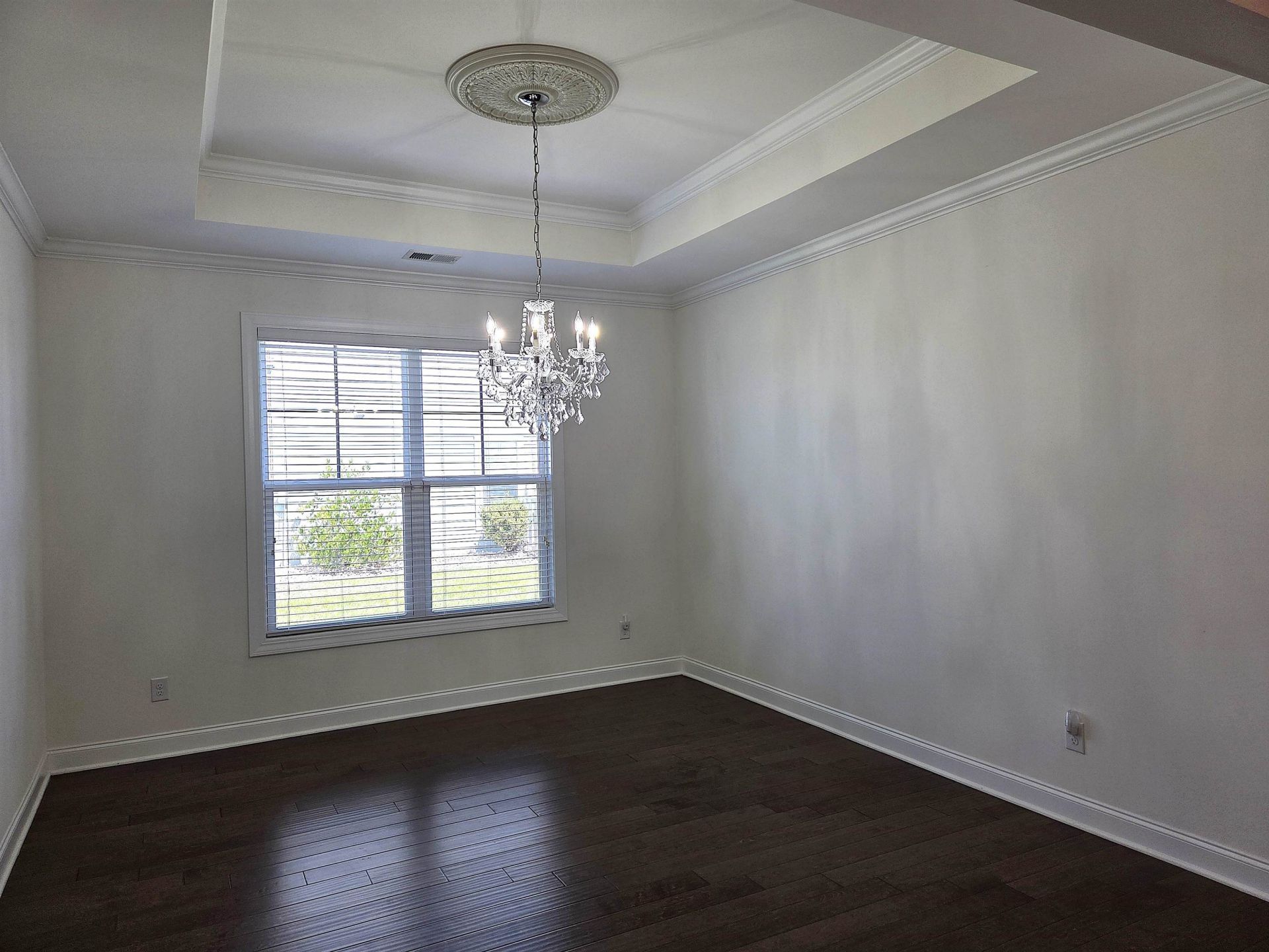 1000 Englemann Oak Dr. Photo 8