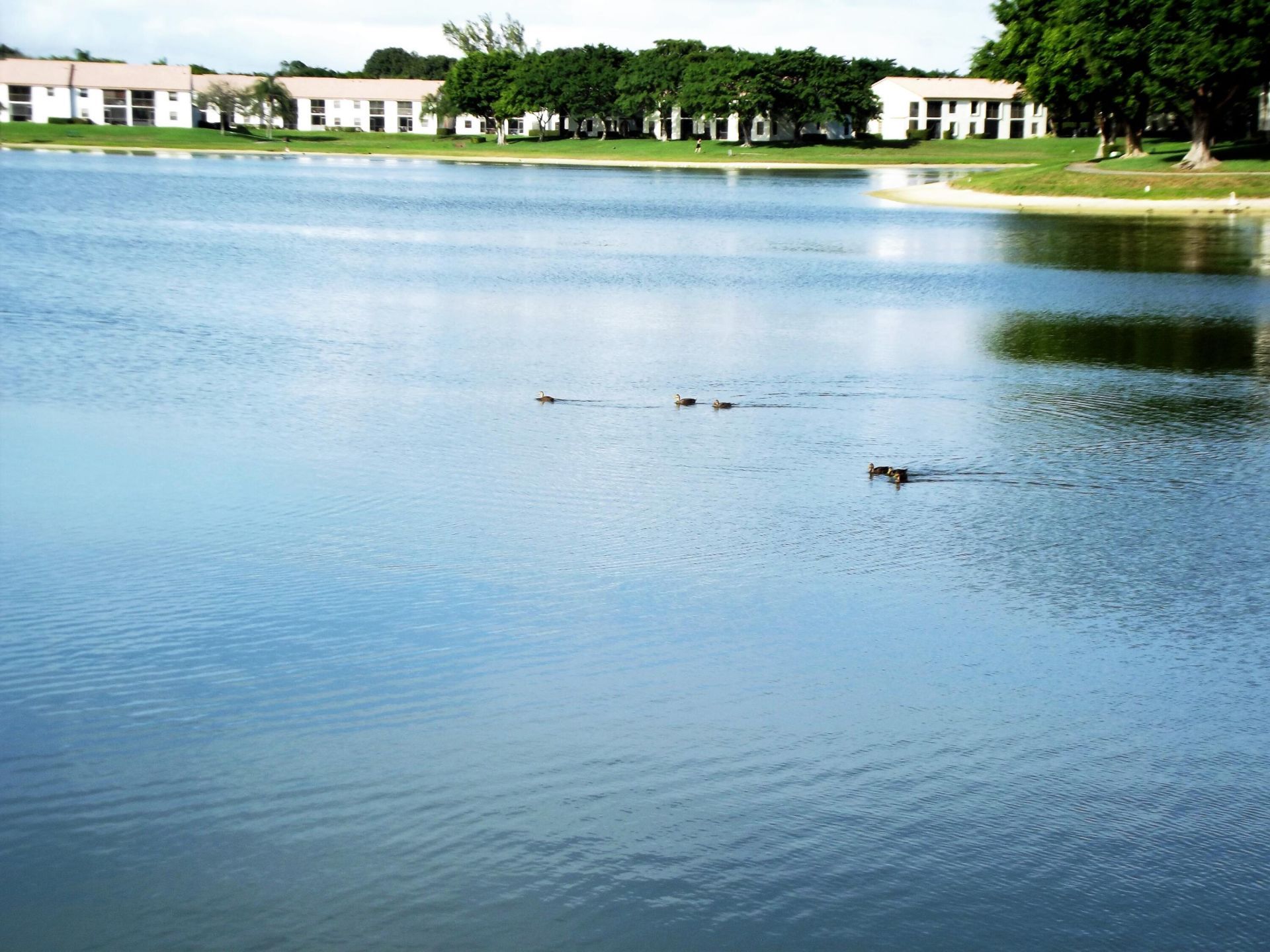 320 Norwood Terrace, Unit 113, Boca Raton, FL 33431 Photo