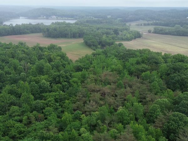 0 Lost Creek Farm Rd , Unit 1 & 2, Decaturville, TN 38329