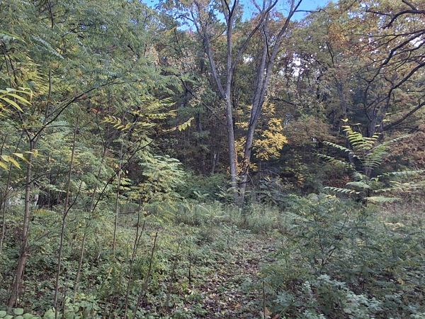 5080 Hunsberger Avenue NE, Grand Rapids, MI 49525